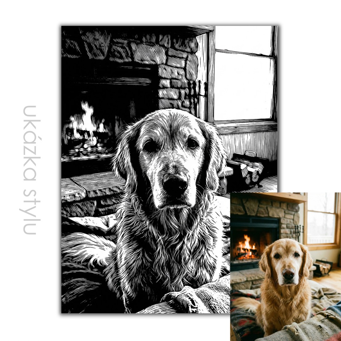 Ilustrace podle vaší fotky pro vlastní tisk